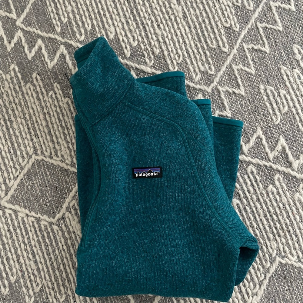 patagonia better sweater- never worn!!
